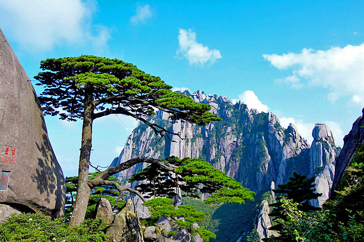 黄山风景区编织四级急救网 打造旅游“安全山”